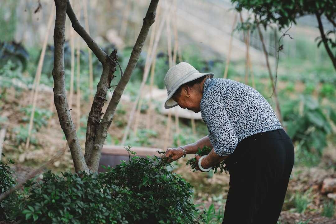 retired man gardening