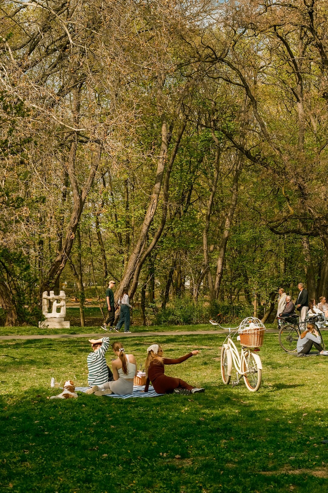 Seniors enjoying a picnic gathering together in a park